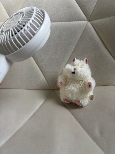 乾かされ太郎