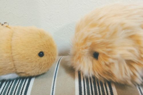 はじめまして