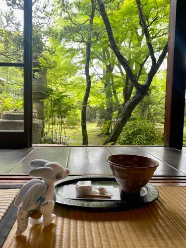 新緑がきらきらしているお庭
静かな場所でお茶をひと口
心が落ち着くね