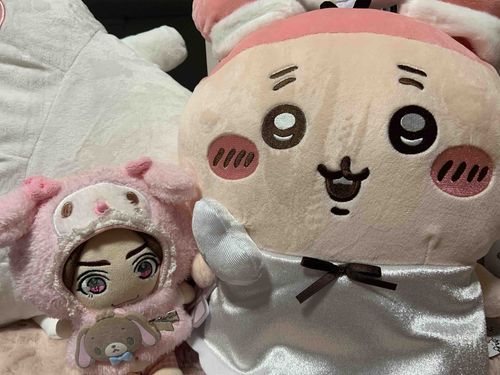 かにしゃん‼️