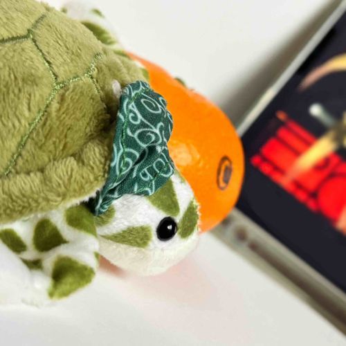 あるじとみかんちゃんと素敵なライブを観たのだ🍊👀🐢