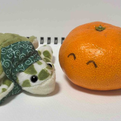 🍊☺️🐢