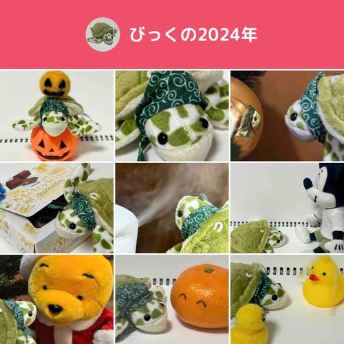 来年もよろしくなのだ🐢