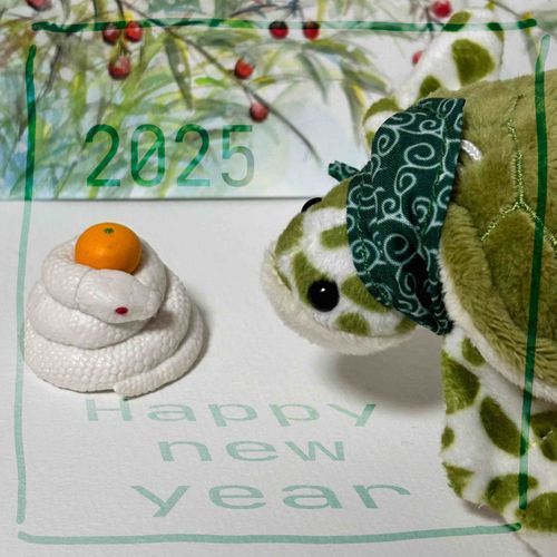 今年もよろしくお願いします🐢🎍