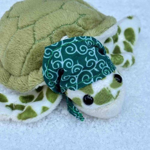 ❄️🐢