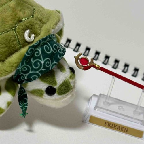 魔法の杖？なのだ🪄🐢