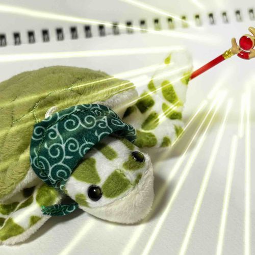 わあああ🐢🪄