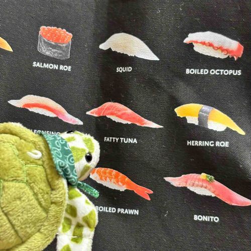バッグ寿司🍣🐢