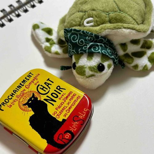 美術館でおしゃれ缶ケースを見つけたのだ🐢🐈‍⬛