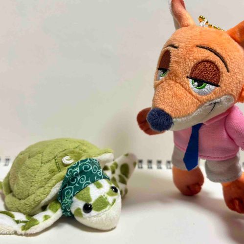 こんにちは🐢🦊