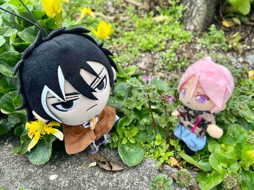 ちぃちゃい春をみつけたやで♪