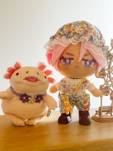 お久しぶりやで
こはたやで
こっちはもちうぱはんや
吸いついてくるからちぃと怖いけど、もちもちでふわふわなんやで‥♪