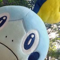 めめめ