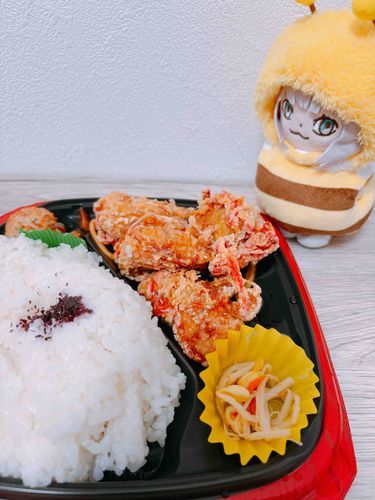 べにしょうがからあげのおべんとうだ
ごはん、てんこもりすぎやしないかい？
ぼくよりおおきいよ