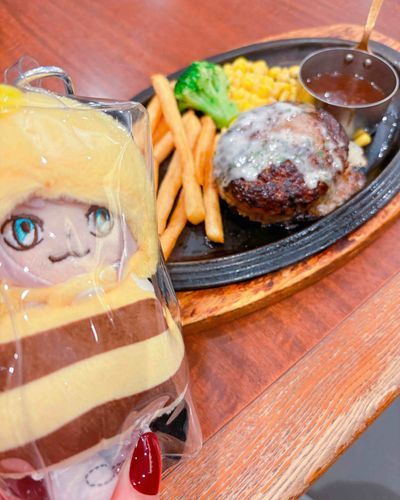 とてもおいしそうなハンバーグだ。まあぼくはこのとおり、ソースやあぶらがつかないようにビニールごしにみているだけなのさ。ふん。