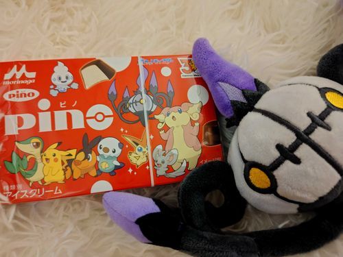 オーナーがピノ買ってきてた。
シャンデラさんとの写真。