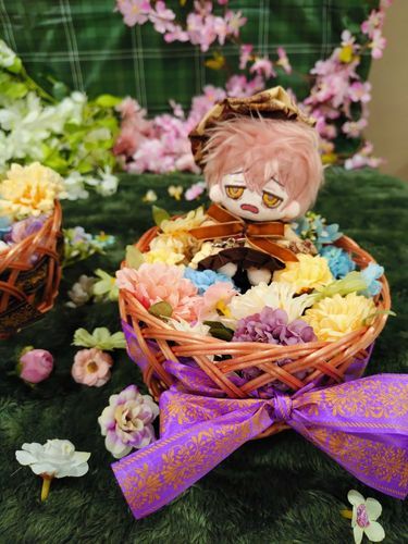 ふわもこSNSはじめる前に、第6回東京のぬいぐるみFestivalで撮ってもらった写真その①。