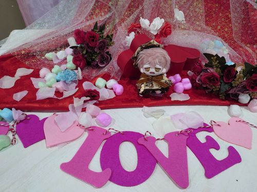 ふわもこSNSはじめる前に、第6回ぬいぐるみFestivalで撮ってもらった写真その②。