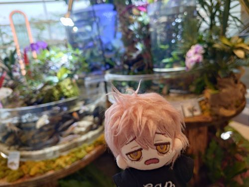 魚がいっぱいいました。