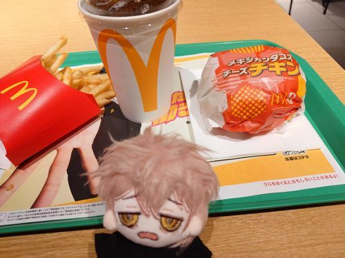 マクドで期間限定のメキシカンタコスチーズチキンバーガー。
ちょっと辛いけど美味しかったから、期間中また連れて行ってとオーナーに頼んどいた。