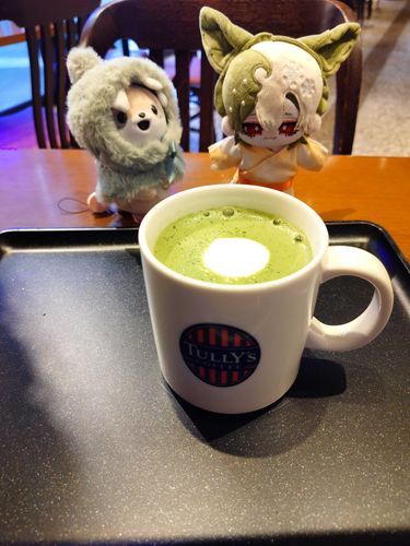 オーナーは、マフトさんいる時はついつい抹茶の物を選びがちなようです。