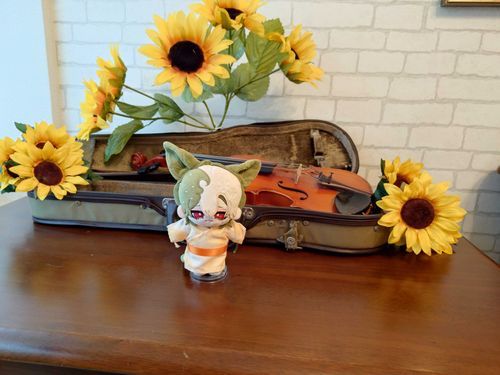 スタジオエーデルシュタインさんでマフトさんを撮影させてもらった写真。
夏仕様だから今浴衣着てるマフトさんを代表で連れて行ったみたい。