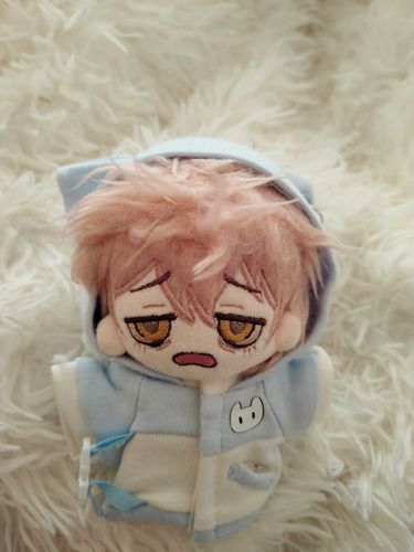 オーナーが新しい服を買ってくれた。