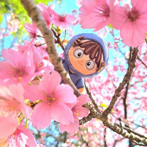 さいしょに人間の家にきたのは
おはまかんえもんでした
はじめてのお出かけはお花見🌸
