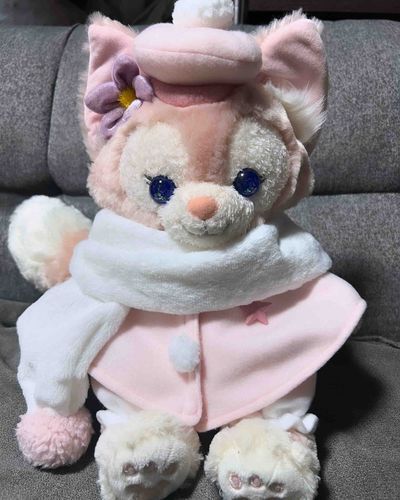 今はまだ冬の装いだけど、どうやら保護者が新しいお洋服を買ってくれたみたい❣️
届くのが待ち遠しいね！
わくわく☺️✨