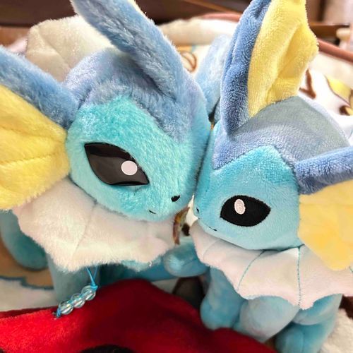 もう仲良し
左がしゃわわちゃん
右が新入りのアクアちゃんです