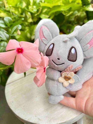 お花と🌸