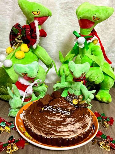 メリークリスマス🎀
メガ進化はしてないけどね🎄