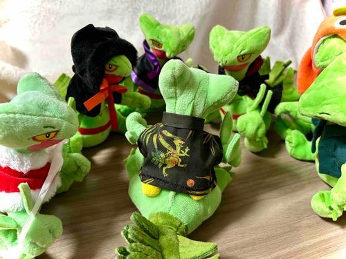 マスターが服を作ってくれた🌿
お披露目中🌿