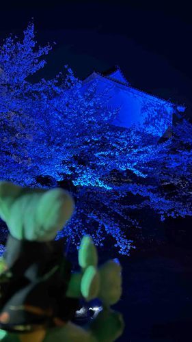 青く光った桜とお城だ🌿