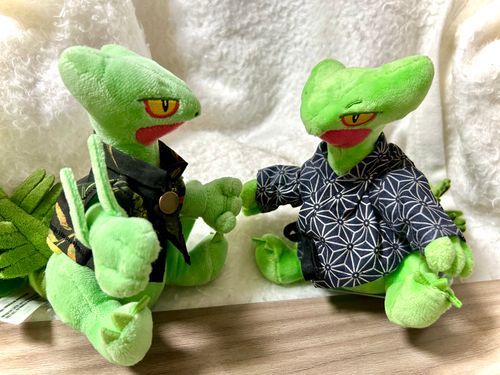 マスターの仕事仲間が着物を作ってくれたらしい🌿