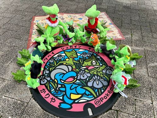 家族総出で見にきたぞ🌿