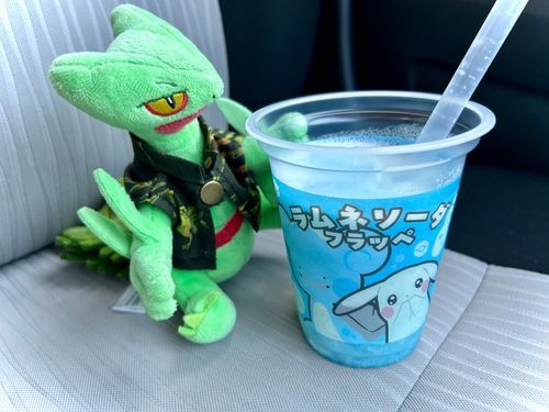 暑い日は冷たい飲み物が飲みたくなるな🌿