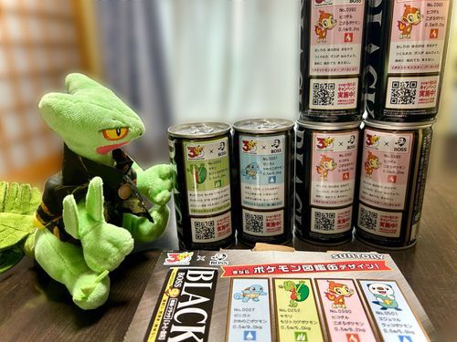 ミジュマルがいないな…🌿