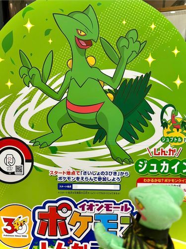 ちゃんと進化できて良かったな🌿