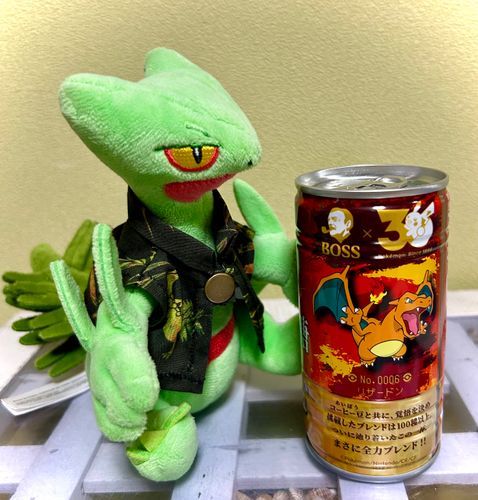 リザードンがカッコいいな🌿