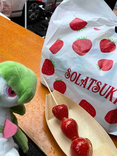 いちご飴だよー🍓
トレーナーは初めて食べたんだって！
想像よりいちごがじゅーしーで、トレーナーはハマっちゃったみたい。