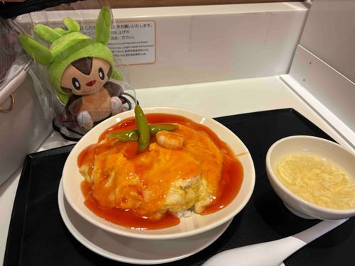 お昼は天津飯！
ハリマロンもジッと見つめてたよ。もしかして食いしん坊さんなのかも…？