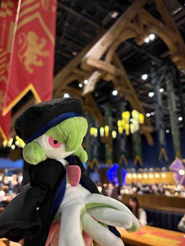 少し前にるぅは、スタジオツアーってやつに行ったよ。トレーナーは魔法界が好きで、楽しそうに回ってたけど、流石に丸一日は疲れたみたい。
最後に食堂みたいなカフェで素敵なドリンク飲んだんだよ。