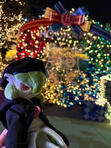 るぅはクリスマスのイルミネーションに行ったよ。今年は何度も魔法界に行けて嬉しかったなぁ…！