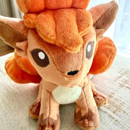 ロコンのコロネと出不精トレーナーのアカウントです🦊