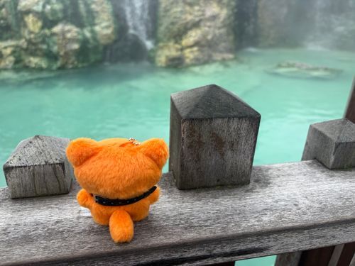 温泉入ってみたいんだね