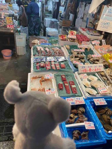 北海道の市場を視察しにきたで

魚よし

貝よし

海老よし