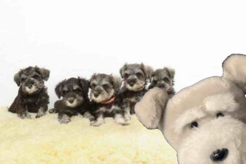 お？