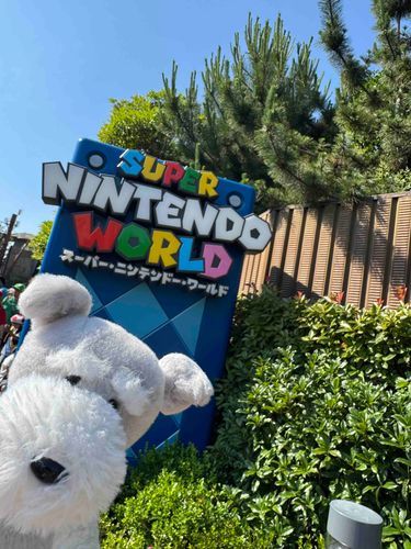 任天堂ワールドきたで
はしゃぐで

ワイが後で写真更新してやるからしっかりチェックしろやで