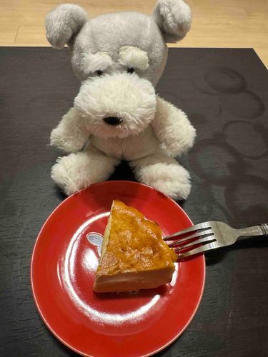 誕生日だからケーキ食べたで🍰

2歳になったで
お前たちの年齢でいうとおっさんやで

これからもよろしくやで